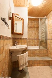 a bathroom with a sink and a shower at Chalet Klara in Resnik