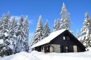 a cabin in the snow with snow covered trees at Chalet Klara in Resnik