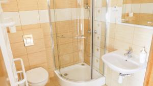 un bagno con doccia, WC e lavandino di Gospodarstwo Agroturystyczne Milejewko a Milejewo Altre 45 foto
