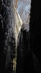 Afbeelding uit fotogalerij van Villa Sängerstein in Eisenach