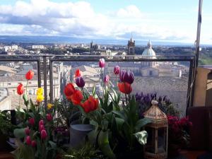 Balkón nebo terasa v ubytování Casa tipica siciliana patronale home BedandBreakfast TreMetriSoprailCielo Camere con vista, colazione interna in terrazzo panoramico