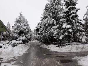 una strada innevata con alberi coperti da neve e una recinzione di Appartamento Lucia a Pescocostanzo