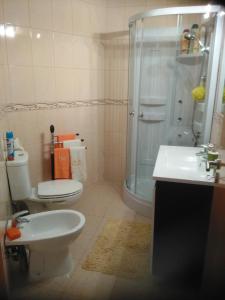 une salle de bain avec toilettes, douche et lavabo dans l'établissement Moradia Familia Escoto, à Monsanto 16 autres photos