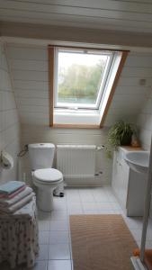 a bathroom with a toilet and a sink and a window at Ferienwohnung mit Panoramablick in Kirchberg