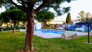 ein Schwimmbad in einem Park mit einem Baum in der Unterkunft Apartamento Con Preciosas Vistas Al Mar,WIFI y piscina de temporada in Canet d'en Berenguer