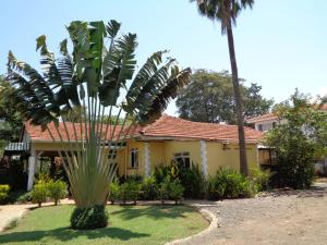 a palm tree in front of a yellow house at The Clarice House in Kisumu