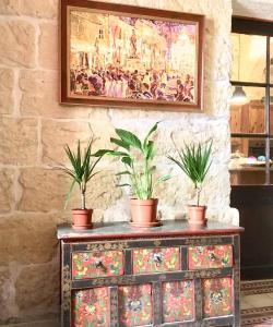a dresser with two potted plants on top of it at Xemx in Qala