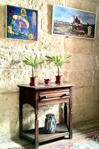 a table with two potted plants on top of it at Xemx in Qala