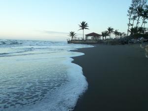- une plage avec des palmiers et l'océan dans l'établissement Eco Coco Loco by Rotamundos, à Casitas