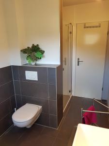 クックスハーフェンにあるFerienhaus Lemafri Duhnenのバスルーム(トイレ、洗面台付)