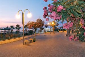 Φωτογραφία από το άλμπουμ του Il Gelso di Sofia B&B σε Tortoreto Lido