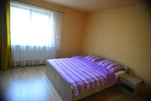 a bedroom with a bed with a purple comforter and a window at Country house Egomer in Călugări