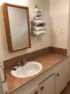 ein Badezimmer mit einem Waschbecken, einem Spiegel und Handtüchern in der Unterkunft Budget inn in Portland