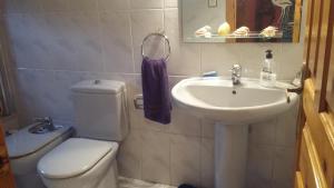 a bathroom with a white toilet and a sink at Casa Llorente in Meré +28 photos