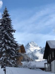 eine schneebedeckte Kiefer vor einem Berg in der Unterkunft Ferienhaus Büsch in Gaschurn