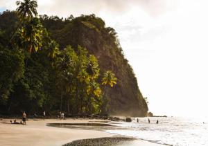 Příroda nedaleko penzionu