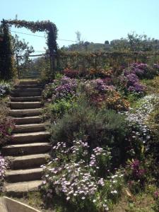 Gallery image of Casa Vacanze Borgo Borghese in SantʼAlessio Siculo