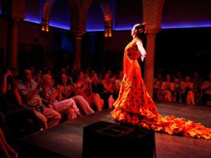 a woman in a dress on a runway in front of a crowd at Halo Boutique Hotel in Seville