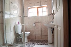 ein Bad mit einem WC und einem Waschbecken in der Unterkunft Brooklyn Guesthouses in Pretoria