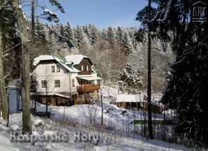 a house covered in snow in the woods at Penzion u Lebedů in Kašperské Hory