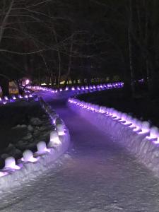 a row of lights in the snow at night at Shiunso in Nikko