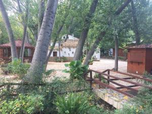 AlboracheにあるMolino Galánのギャラリーの写真 +19枚の写真