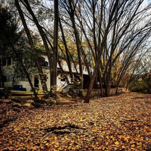 AlboracheにあるMolino Galánのギャラリーの写真