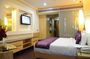 um quarto de hotel com uma cama e uma televisão em Airport Hotel Grand, New Delhi em Nova Deli