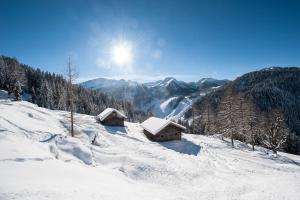 Una montaña cubierta de nieve con dos cabañas. en Lochgrubgut en Altenmarkt im Pongau