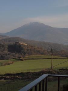 a mountain in the distance with a green field at Mendialdea Amaiur Baztán in Maya del Baztán