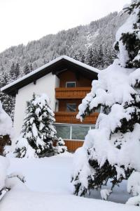 Haus Rudigier by Châtel Reizen v zime