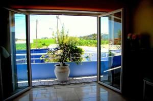 Una gran ventana con una planta en maceta en un balcón. en CAMINHOS DE SANTIAGO - VillaMaria BEACH HOUSE, en Leça da Palmeira
