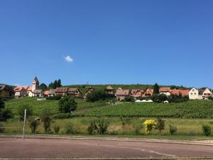 Příroda nedaleko apartmánu