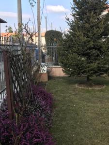 A garden outside Color House Malpensa B&B