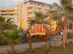 Afbeelding uit fotogalerij van Semt Luna Beach Hotel in Alanya