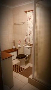 a bathroom with a toilet and a shower curtain at Little Sister's in Colchester