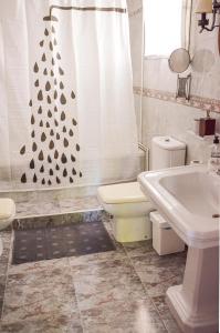 a bathroom with a toilet and a shower curtain at Heliópolis I in Seville