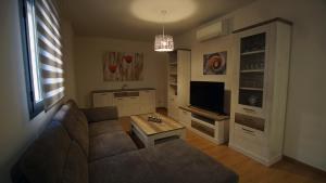 a living room with a couch and a tv at Apartamento con garaje, El barco in Toledo