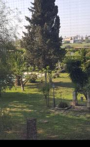 Zahrada ubytování Casina Romita