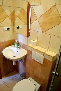 La salle de bains est pourvue de toilettes et d'un lavabo. dans l'établissement Noclegi Wega, à Częstochowa