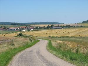 a dirt road in a field with a bunch of animals at la grange aux hirondelles in Athienville