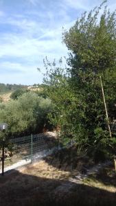 una cerca con un árbol en un patio en Camping Agriturist Sant'Anna, en Castelplanio