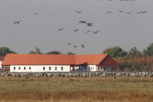 Kép Bibic Nature Lodge szállásáról Balmazújvárosban a galériában
