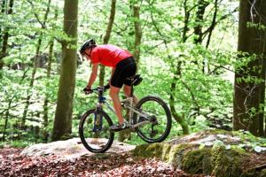un hombre montando una bicicleta en el bosque en Villa Rupcovoto, en Smolyan