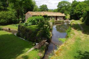 Příroda nedaleko bed and breakfast