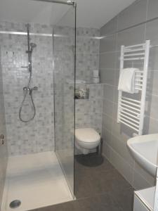 a bathroom with a shower and a toilet and a sink at Hôtel François 1er in Saint-Dizier +22 photos