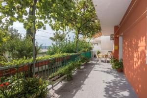 Κήπος έξω από το Apartments Ante