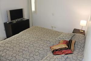 1 dormitorio con 1 cama con 2 almohadas y TV en Green Park en Punta del Este, en Punta del Este