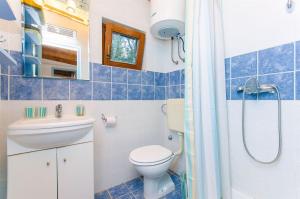 a bathroom with a toilet sink and a shower at House Mislav II in Velike Kuknjare