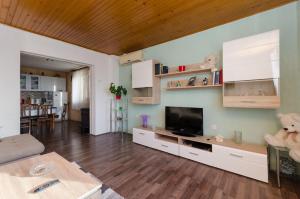 a living room with a flat screen tv on a wall at Apartment Milan in Senj
